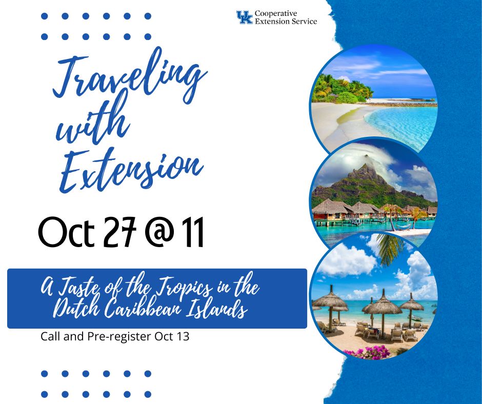 Traveling the World with Extension