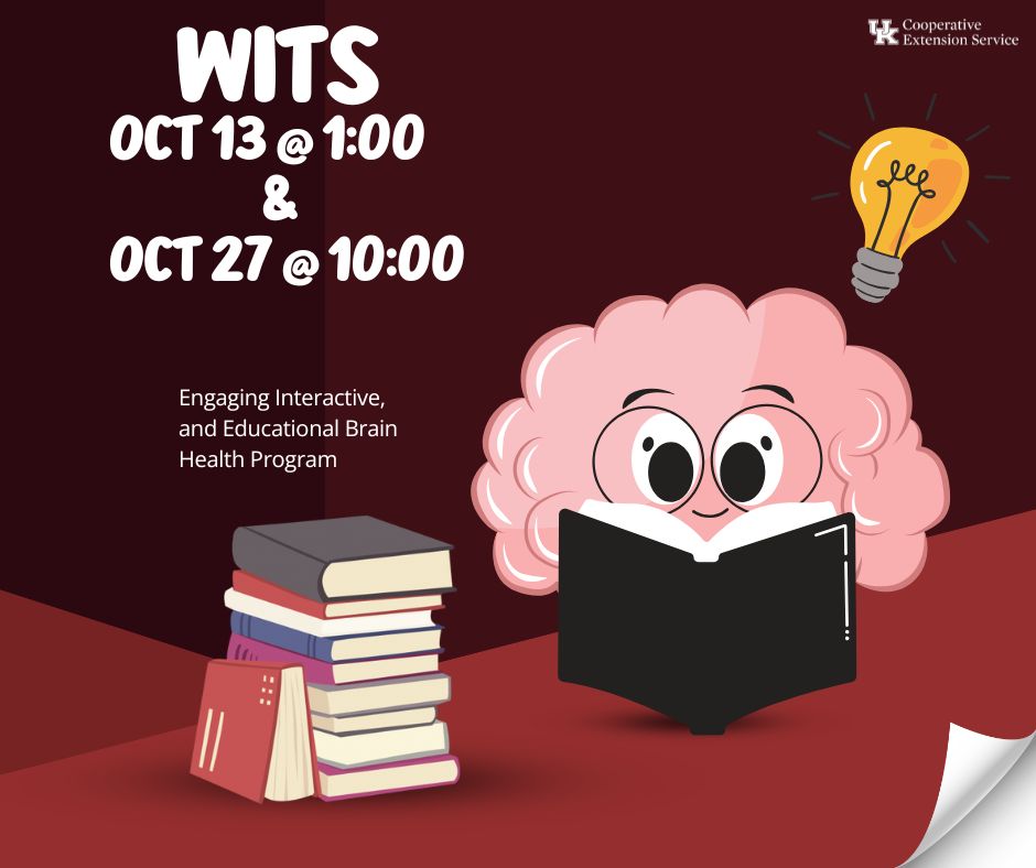 Wits Workout