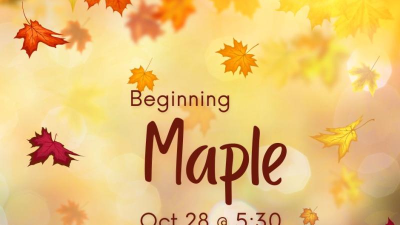 Beginning Maple 