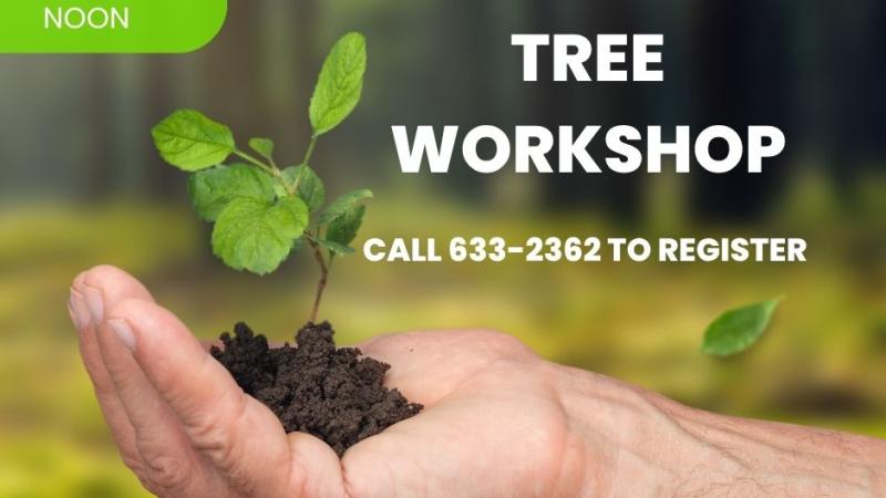 Paw Paw Tree Workshop